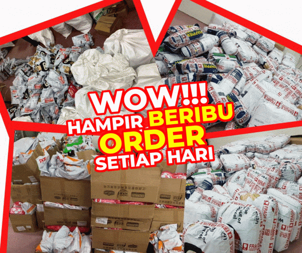 WOW HAMPIR BERIBU ORDER SETIAP HARI
